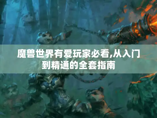 魔兽世界有爱玩家必看,从入门到精通的全套指南