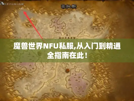 魔兽世界NFU私服,从入门到精通全指南在此！
