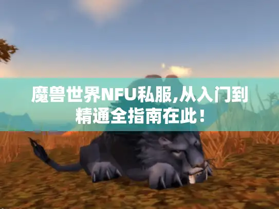 魔兽世界NFU私服,从入门到精通全指南在此！