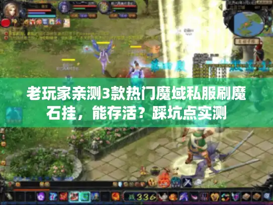 老玩家亲测3款热门魔域私服刷魔石挂，能存活？踩坑点实测