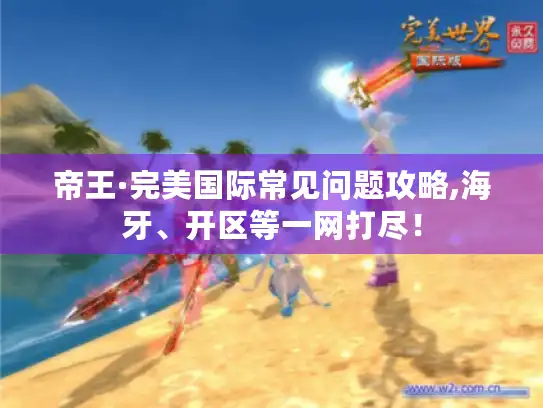 帝王·完美国际常见问题攻略,海牙、开区等一网打尽！