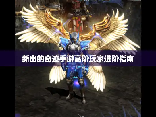 新出的奇迹手游高阶玩家进阶指南 新出的奇迹手游高阶玩家进阶指南