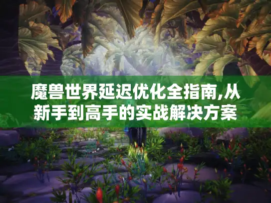 魔兽世界延迟优化全指南,从新手到高手的实战解决方案