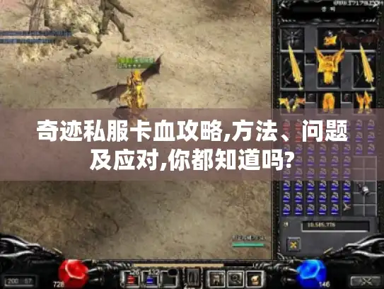 奇迹私服卡血攻略,方法、问题及应对,你都知道吗?