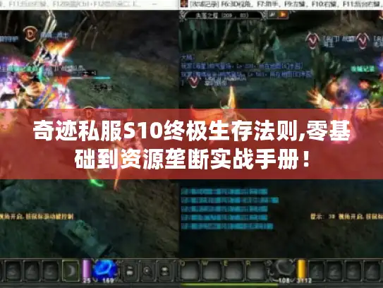 奇迹私服S10终极生存法则,零基础到资源垄断实战手册! 奇迹私服S10终极生存法则,零基础到资源垄断实战手册!