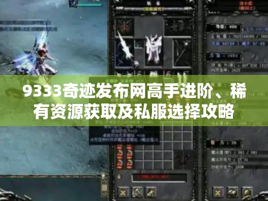 9333奇迹发布网高手进阶、稀有资源获取及私服选择攻略