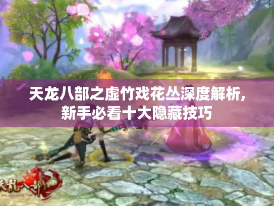 天龙八部之虚竹戏花丛深度解析,新手必看十大隐藏技巧