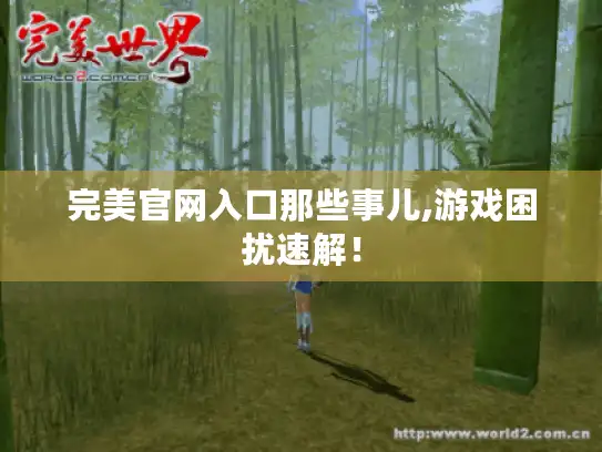 完美官网入口那些事儿,游戏困扰速解！