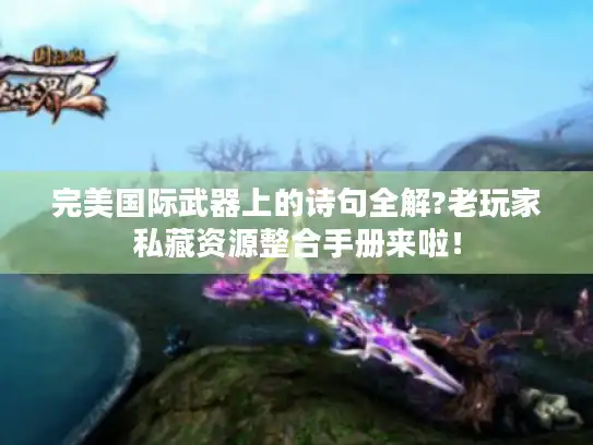 完美国际武器上的诗句全解?老玩家私藏资源整合手册来啦！