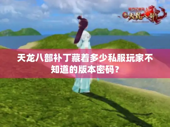 天龙八部补丁藏着多少私服玩家不知道的版本密码？