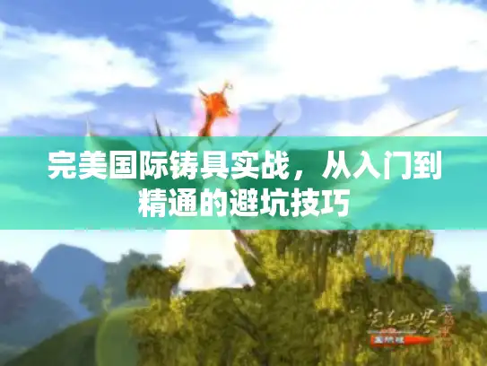 完美国际铸具实战，从入门到精通的避坑技巧