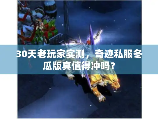 30天老玩家实测，奇迹私服冬瓜版真值得冲吗？