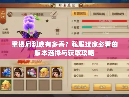 重楼肩到底有多香？私服玩家必看的版本选择与获取攻略