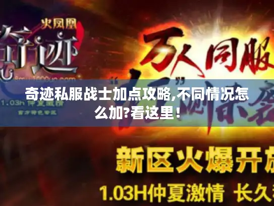 奇迹私服战士加点攻略,不同情况怎么加?看这里！