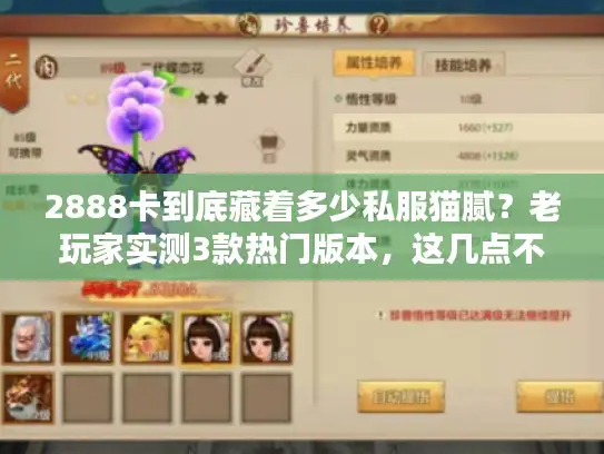 2888卡到底藏着多少私服猫腻?老玩家实测3款热门版本,这几点不看必亏 2888卡到底藏着多少私服猫腻?老玩家实测3款热门版本,这几点不看必亏