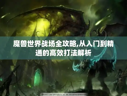魔兽世界战场全攻略,从入门到精通的高效打法解析