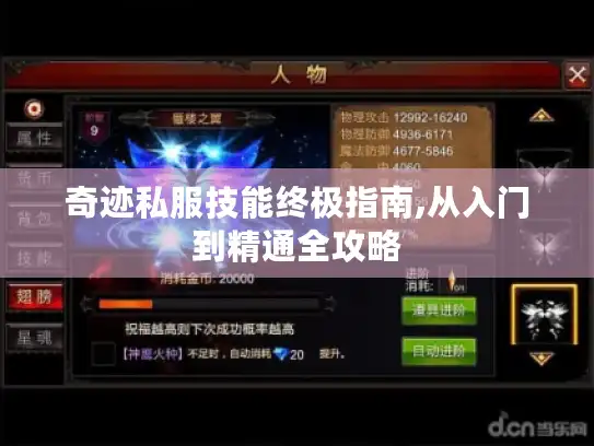 奇迹私服技能终极指南,从入门到精通全攻略 奇迹私服技能终极指南,从入门到精通全攻略