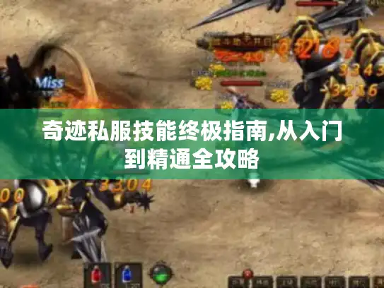 奇迹私服技能终极指南,从入门到精通全攻略 奇迹私服技能终极指南,从入门到精通全攻略