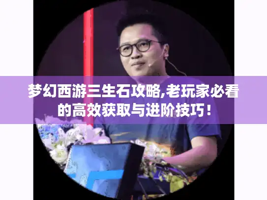 梦幻西游三生石攻略,老玩家必看的高效获取与进阶技巧！