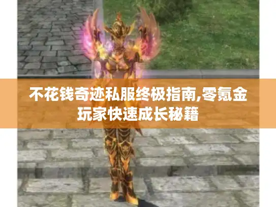 不花钱奇迹私服终极指南,零氪金玩家快速成长秘籍