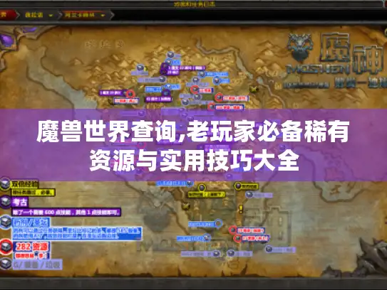 魔兽世界查询,老玩家必备稀有资源与实用技巧大全