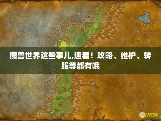 魔兽世界这些事儿,速看!攻略、维护、转服等都有哦 魔兽世界这些事儿,速看!攻略、维护、转服等都有哦