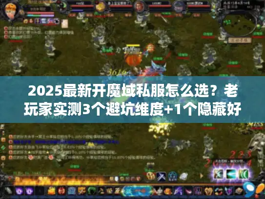 2025最新开魔域私服怎么选？老玩家实测3个避坑维度+1个隐藏好服清单