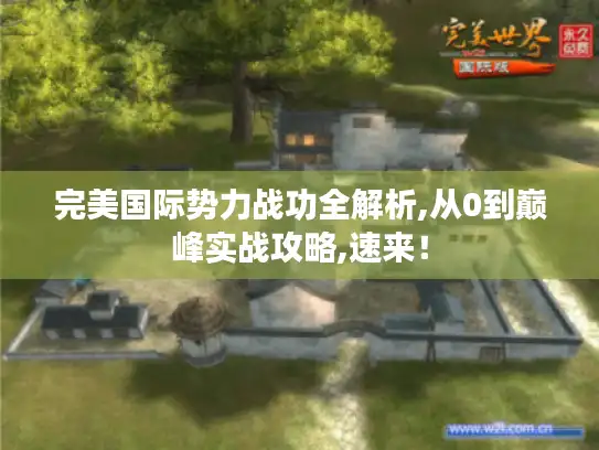 完美国际势力战功全解析,从0到巅峰实战攻略,速来！