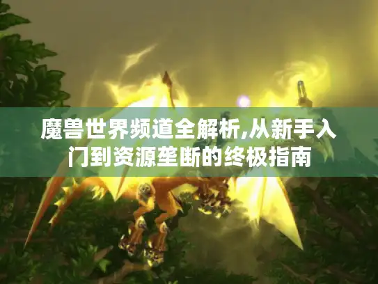 魔兽世界频道全解析,从新手入门到资源垄断的终极指南 魔兽世界频道全解析,从新手入门到资源垄断的终极指南