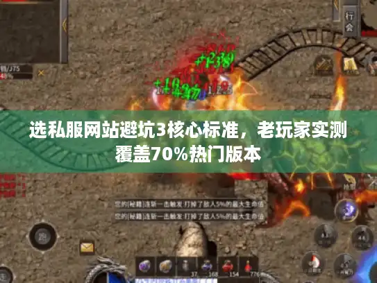 选私服网站避坑3核心标准，老玩家实测覆盖70%热门版本