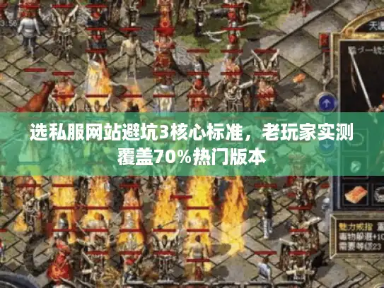 选私服网站避坑3核心标准，老玩家实测覆盖70%热门版本