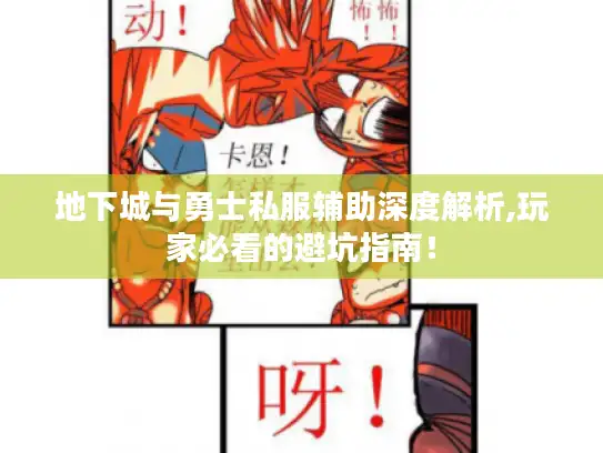 地下城与勇士私服辅助深度解析,玩家必看的避坑指南！
