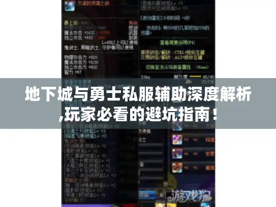 地下城与勇士私服辅助深度解析,玩家必看的避坑指南！