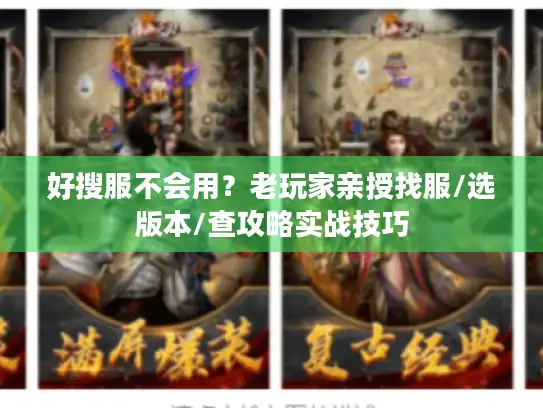 好搜服不会用？老玩家亲授找服/选版本/查攻略实战技巧