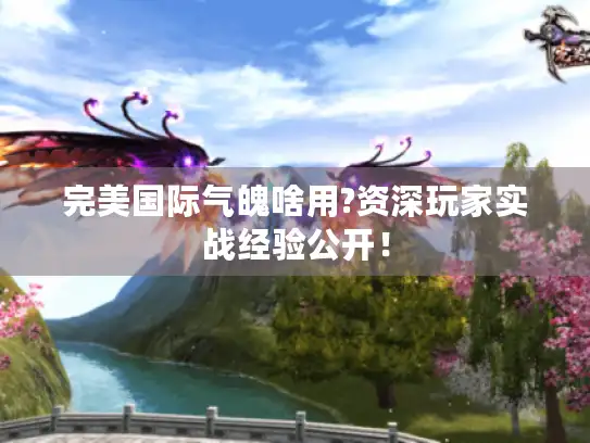 完美国际气魄啥用?资深玩家实战经验公开！