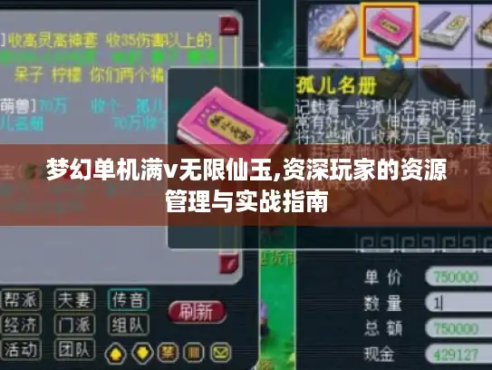 梦幻单机满v无限仙玉,资深玩家的资源管理与实战指南