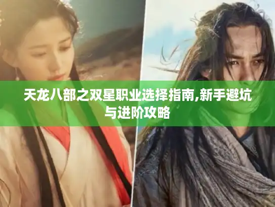 天龙八部之双星职业选择指南,新手避坑与进阶攻略