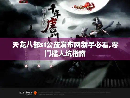 天龙八部sf公益发布网新手必看,零门槛入坑指南