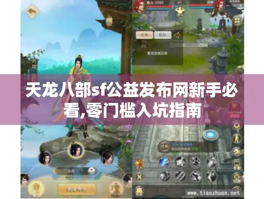 天龙八部sf公益发布网新手必看,零门槛入坑指南