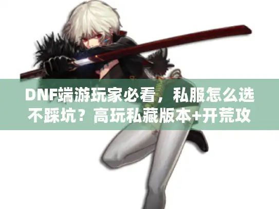 DNF端游玩家必看，私服怎么选不踩坑？高玩私藏版本+开荒攻略全曝光