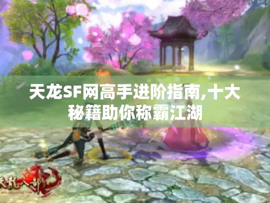 天龙SF网高手进阶指南,十大秘籍助你称霸江湖