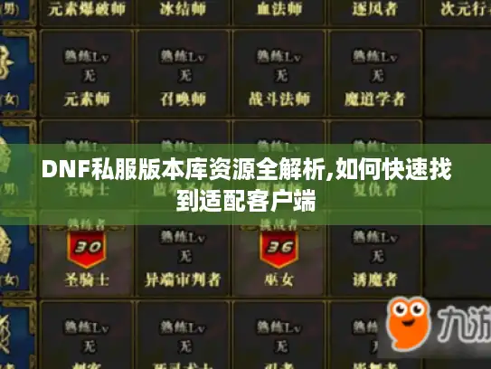 DNF私服版本库资源全解析,如何快速找到适配客户端 DNF私服版本库资源全解析,如何快速找到适配客户端