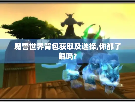 魔兽世界背包获取及选择,你都了解吗?