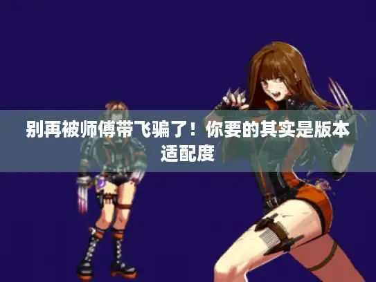 别再被师傅带飞骗了！你要的其实是版本适配度