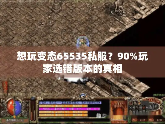 想玩变态65535私服？90%玩家选错版本的真相