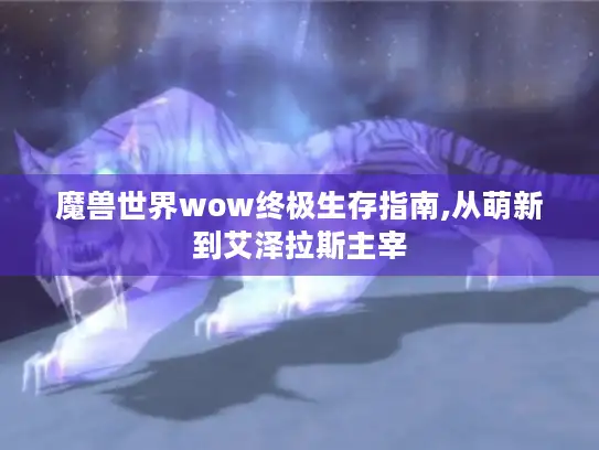 魔兽世界wow终极生存指南,从萌新到艾泽拉斯主宰