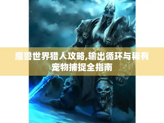 魔兽世界猎人攻略,输出循环与稀有宠物捕捉全指南