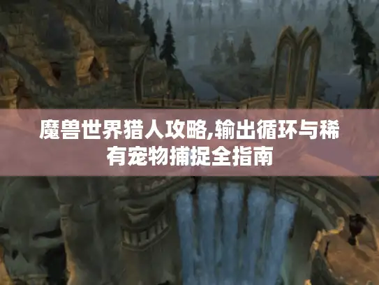 魔兽世界猎人攻略,输出循环与稀有宠物捕捉全指南