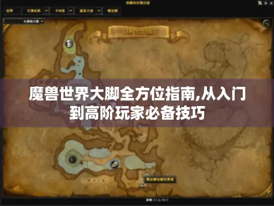 魔兽世界大脚全方位指南,从入门到高阶玩家必备技巧