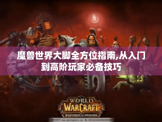 魔兽世界大脚全方位指南,从入门到高阶玩家必备技巧
